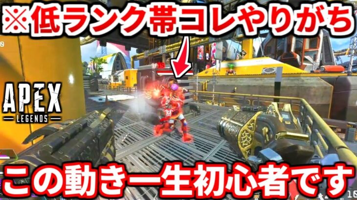 初心者はコレ絶対やるべき！低ランク帯の人がやりがちな動き教えるわ！ランクで盛りたいなら見ろ！【APEX LEGENDS立ち回り解説】