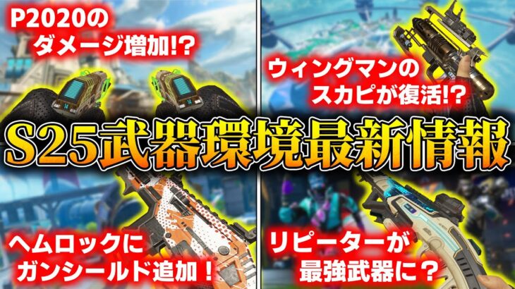 【シーズン25】神アップデート武器調整まとめ！【APEX LEGENDS】