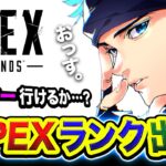 【APEXランク】寝起きで一人旅！マスター行けるのか？えっさほいさと駆け巡ってしまう編。【ハセシン】Apex Legends