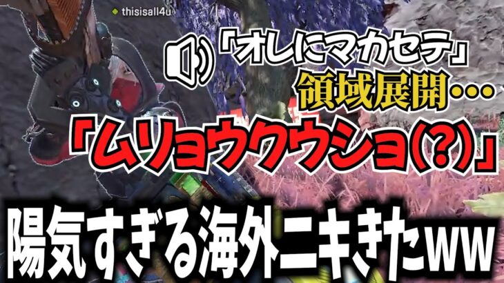 最近出会ったおもしろ野良まとめ【APEX】