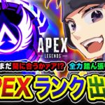 【APEXランク】行ける?マスターまだ間に合うのかァ?どうなるんや!? 全力で踏ん張る編www【ハセシン】Apex Legends