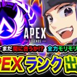 【APEXランク】むむむ!マスターまだ間に合うのか?全力でモリモリするしかない!できるのか?編【ハセシン】Apex Legends
