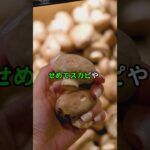 【Apex】シーズン26、マークスマン武器が強すぎる問題